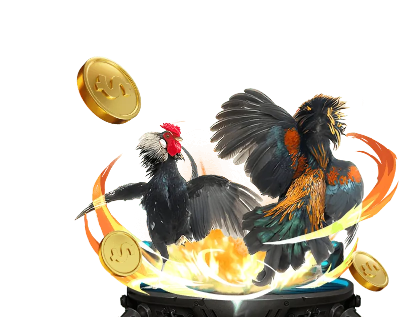 Hình ảnh mô tả lịch sử phát triển của vando88 login